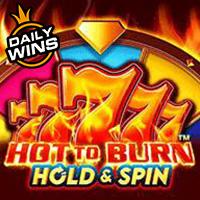 Hot to Burn Hold and Spin RTP Pragmatic Play Demo
