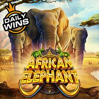 African Elephant RTP Pragmatic Play Demo