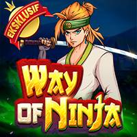Way of Ninja RTP Pragmatic Play Demo