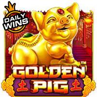Golden Pig RTP Pragmatic Play Demo
