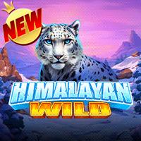 Himalayan Wild RTP Pragmatic Play Demo