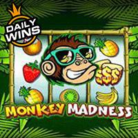 Monkey Madness RTP Pragmatic Play Demo