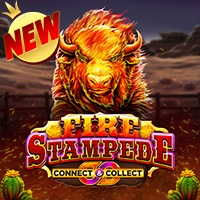Fire Stampede RTP Pragmatic Play Demo